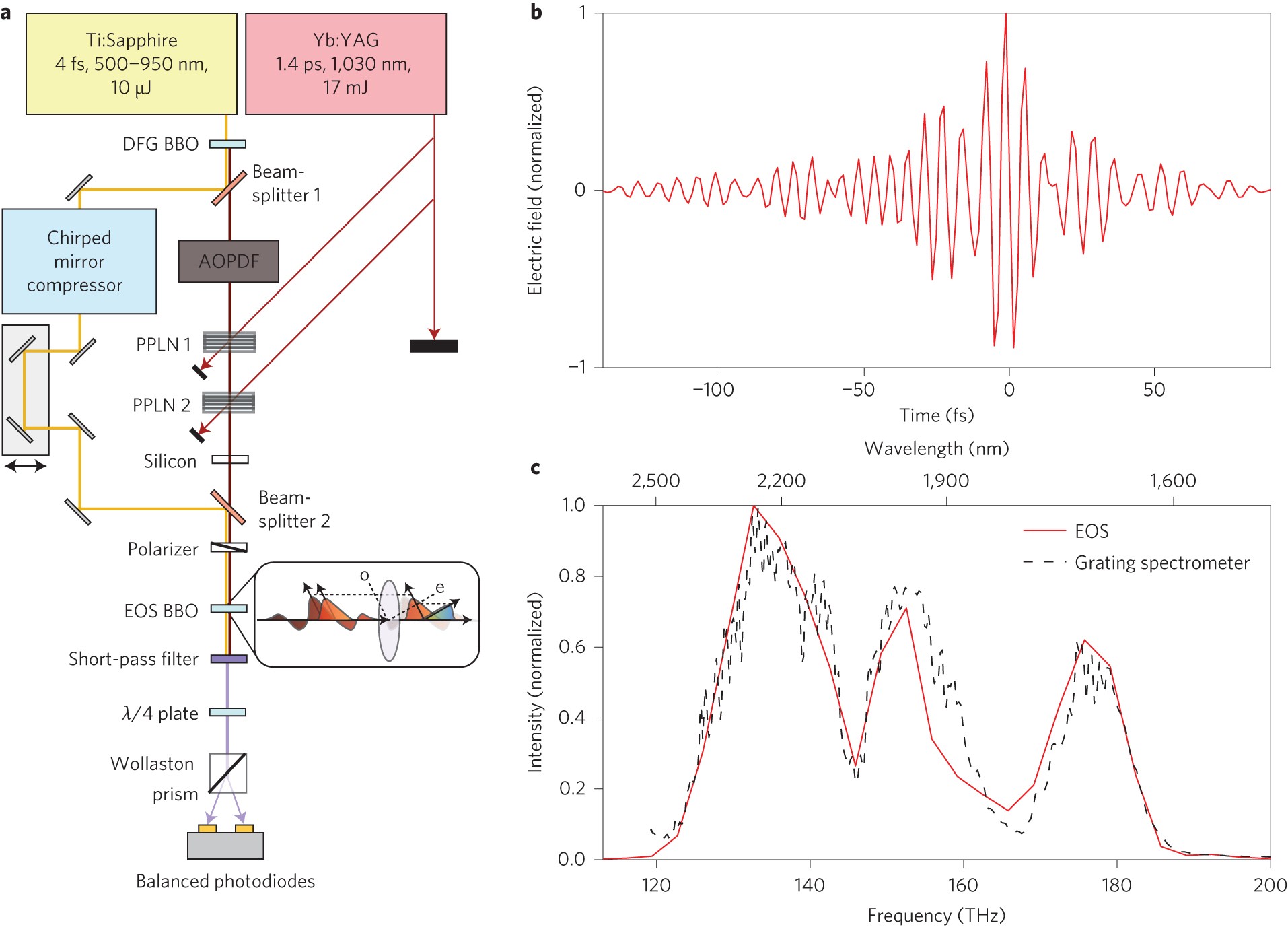 Electro-Optic Sampling