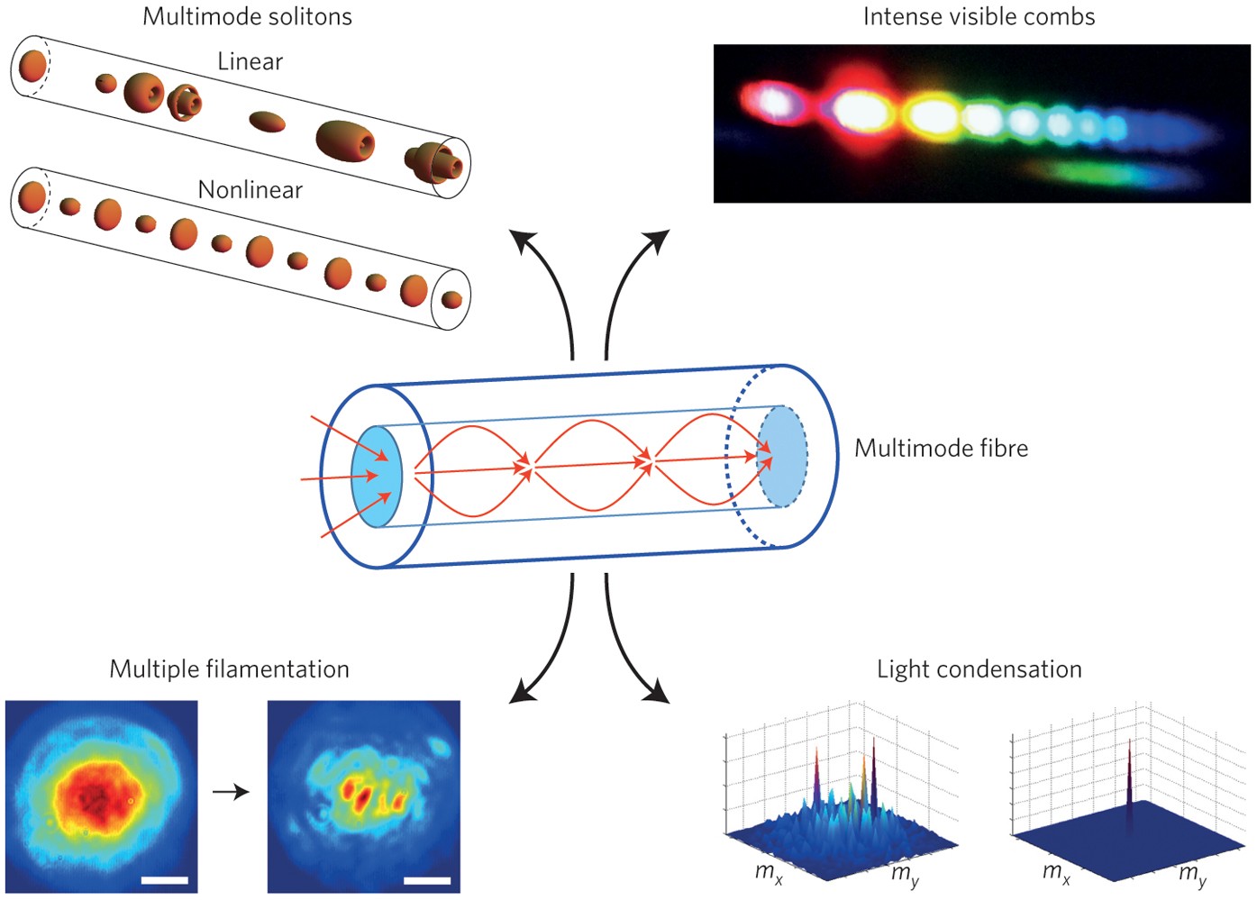 Highly Nonlinear Fibers