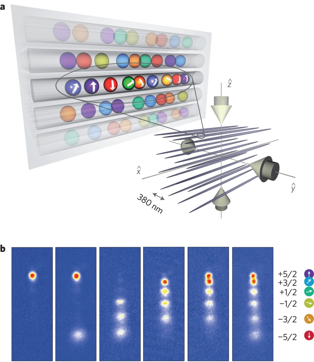 A one-dimensional liquid of fermions with tunable spin | Nature Physics