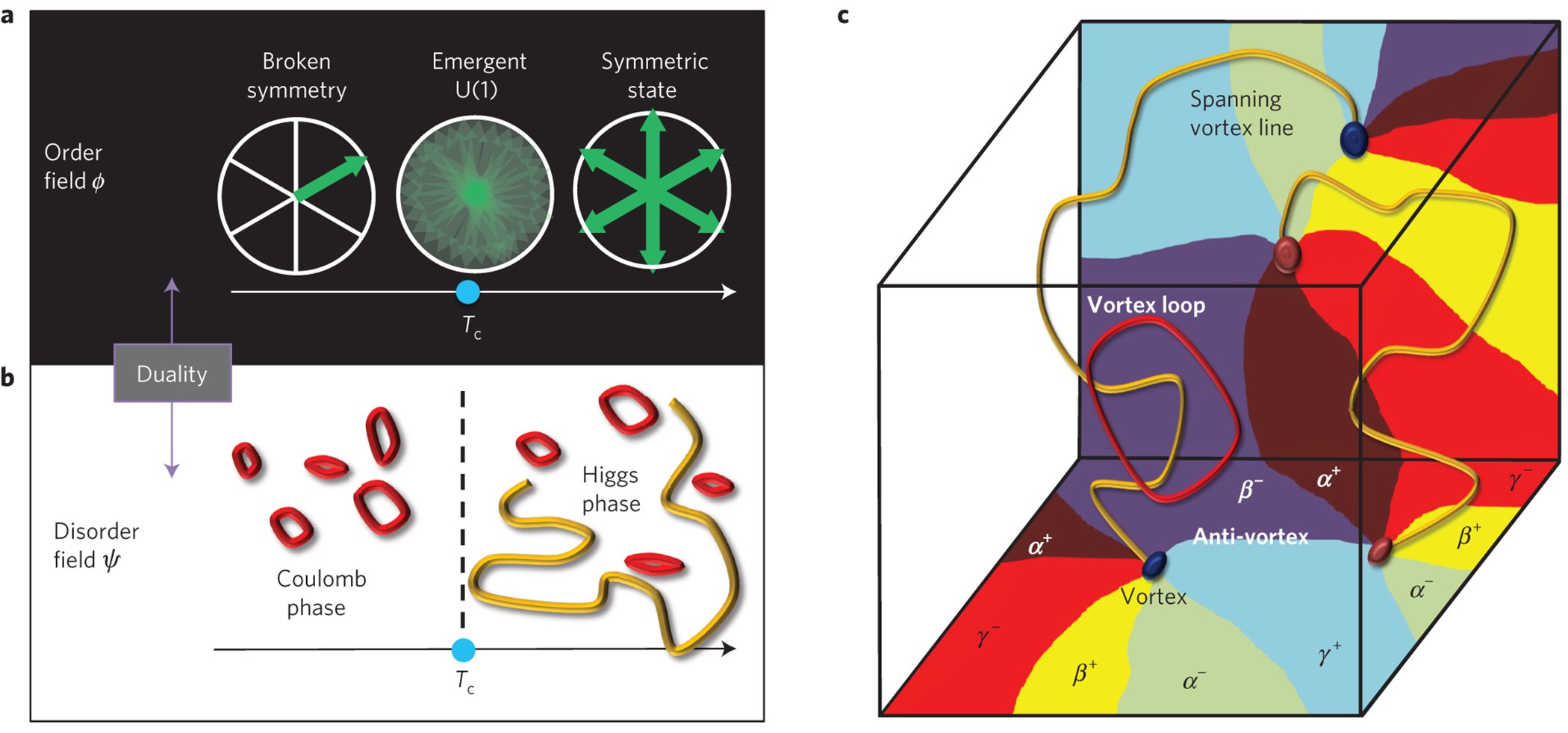 Topological defects as relics of emergent continuous symmetry and Higgs  condensation of disorder in ferroelectrics | Nature Physics