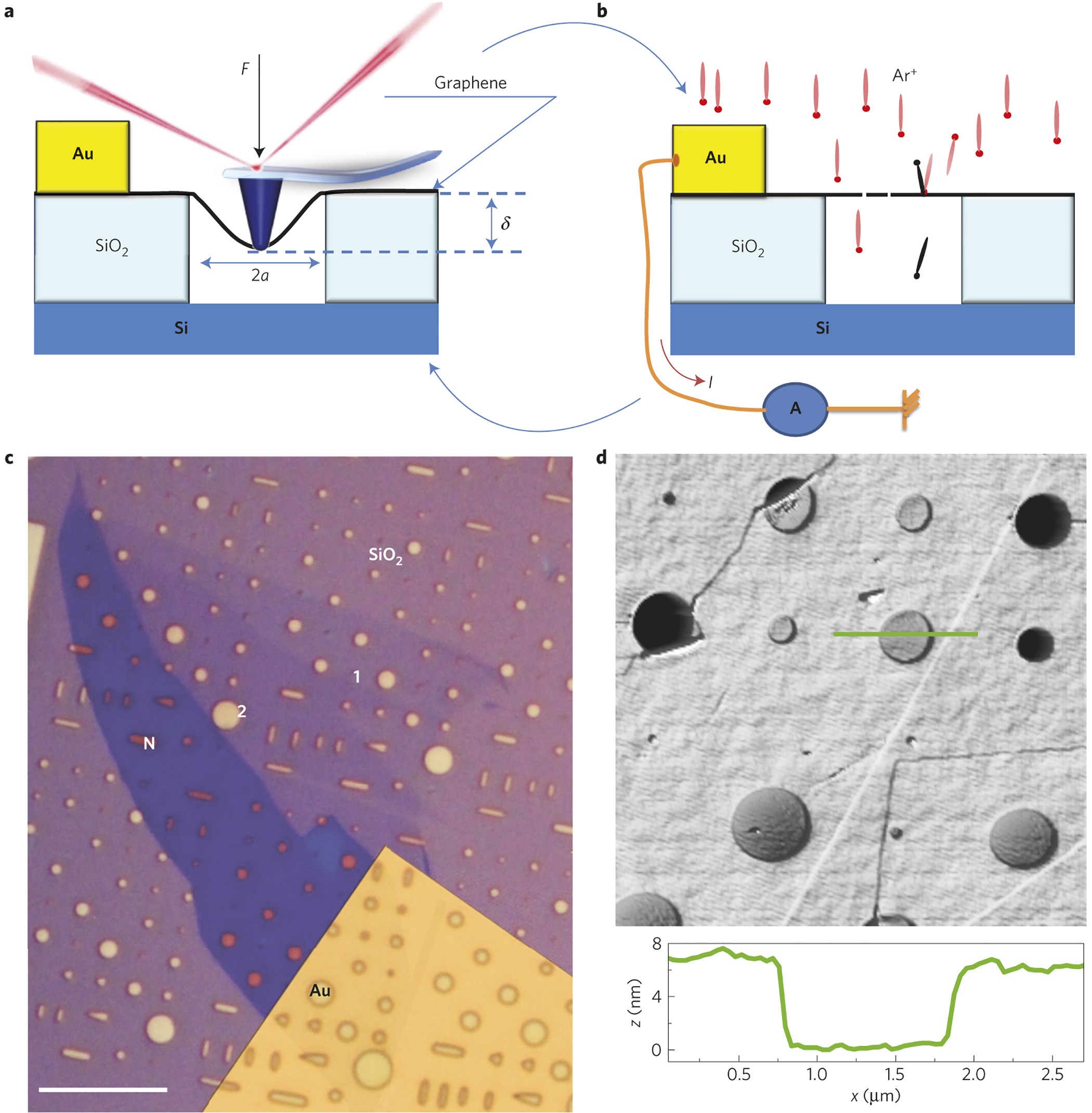 Increasing the elastic modulus of graphene by controlled defect creation |  Nature Physics