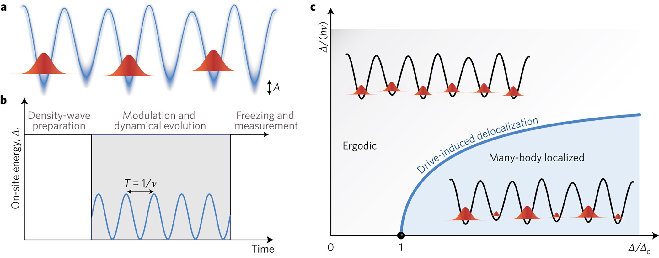 Periodically Driving A Many Body Localized Quantum System