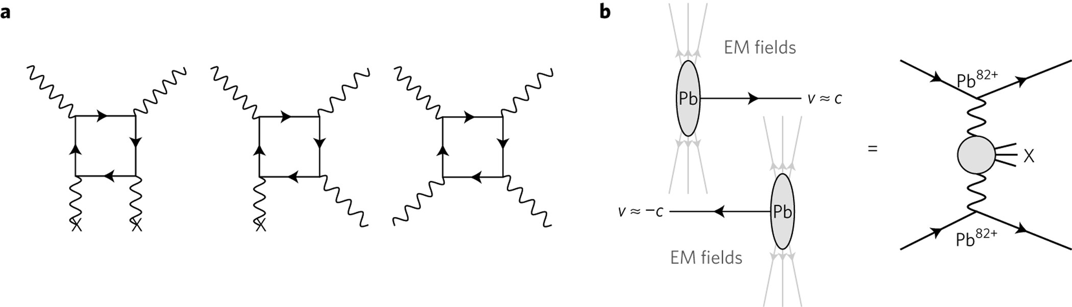 Evidence For Light By Light Scattering In Heavy Ion Collisions