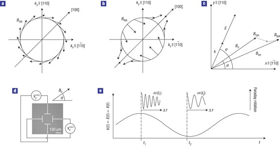 Measurement of Rashba and Dresselhaus spin–orbit magnetic fields