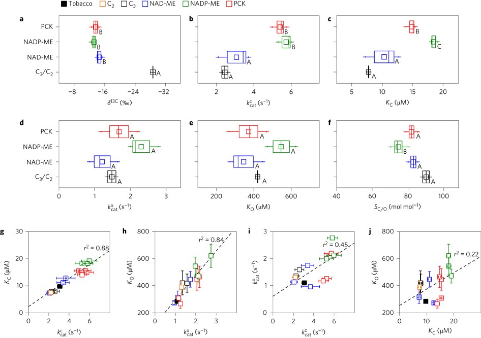 Temperature Responses Of Rubisco From Paniceae Grasses Provide Opportunities For Improving C3 Photosynthesis Nature Plants