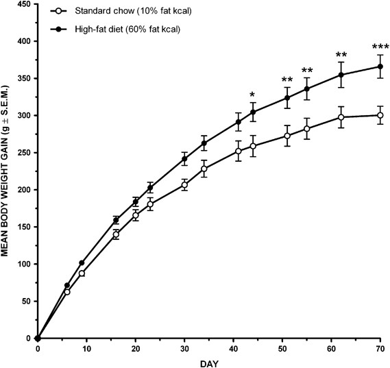 tesofensine vs retatrutide Tesofensine, a Novel Triple Monoamine Reuptake Inhibitor, Induces Appetite  Suppression by Indirect Stimulation of α1 Adrenoceptor and Dopamine D1  Receptor Pathways in the Diet-Induced Obese Rat