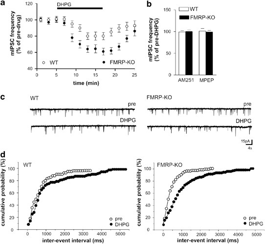 FMRP(1–297)-tat restores ion channel and synaptic function in a