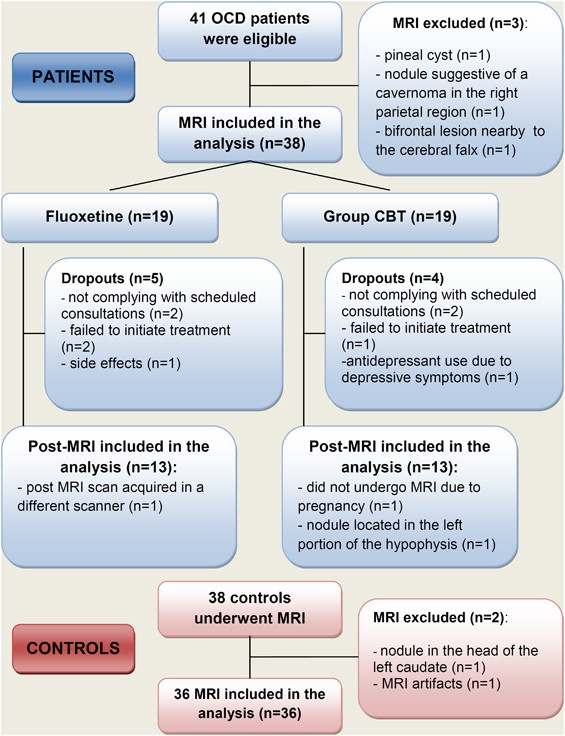 Gray Matter Volumes in Obsessive-Compulsive Disorder Before and After  Fluoxetine or Cognitive-Behavior Therapy: A Randomized Clinical Trial |  Neuropsychopharmacology