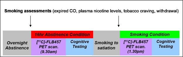 Region-Specific Effects of Nicotine on Brain Activity: A Pharmacological  MRI Study in the Drug-Naïve Rat