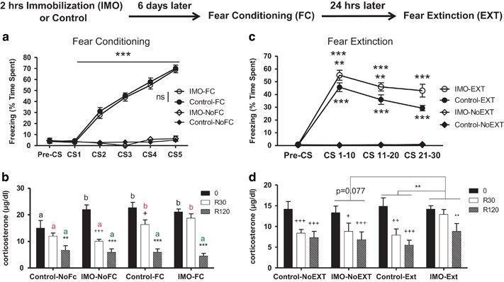 Dexamethasone Treatment Leads to Enhanced Fear Extinction and Dynamic Fkbp5  Regulation in Amygdala | Neuropsychopharmacology