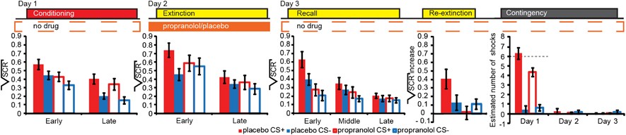 How Administration Of The Beta Blocker Propranolol Before
