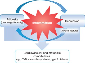 Obesity in Adult Females: The Relationship among Personality  Characteristics, Dieting, and Weight - Frances Schwartz, 1993