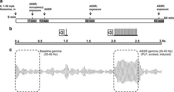 PDF) [Auditory steady-state response in the auditory evaluation: clinical  application]