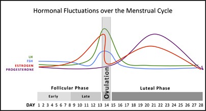 Sex as a Biological Variable: Who, What, When, Why, and How ...