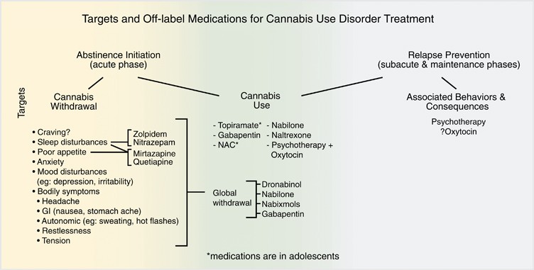 IV. The Effects of Cannabis Withdrawal