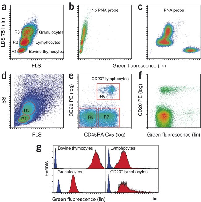 Flow cytometry and FISH to measure the average length of telomeres (flow  FISH) | Nature Protocols