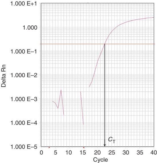 Analyzing real-time PCR data by the comparative CT method | Nature Protocols