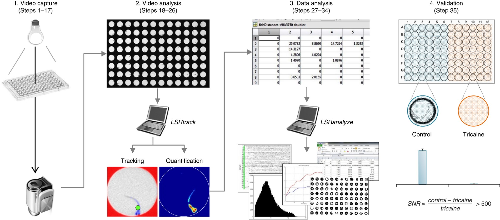 BonZeb: open-source, modular software tools for high-resolution zebrafish tracking and analysis