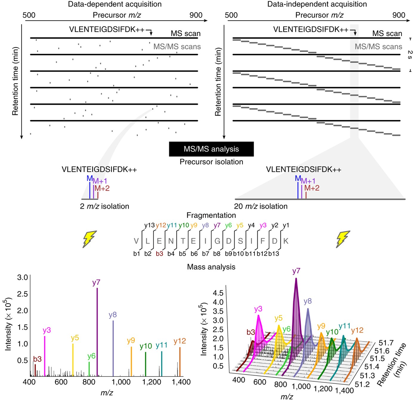 Multiplexed peptide analysis using data-independent acquisition and Skyline  | Nature Protocols