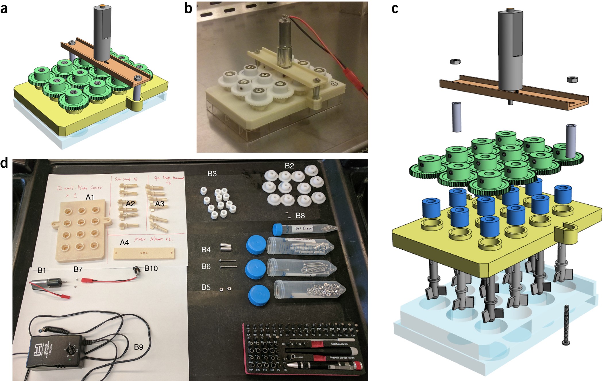 Brain-Region-Specific Organoids Using Mini-bioreactors for Modeling ZIKV  Exposure: Cell