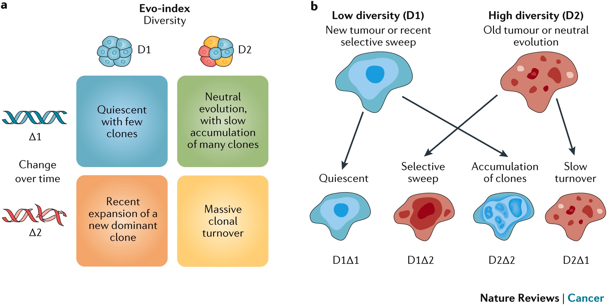 Classifying The Evolutionary And Ecological Features Of Neoplasms Nature Reviews Cancer Classifying The Evolutionary And Ecological Features Of Neoplasms Nature Reviews Cancer