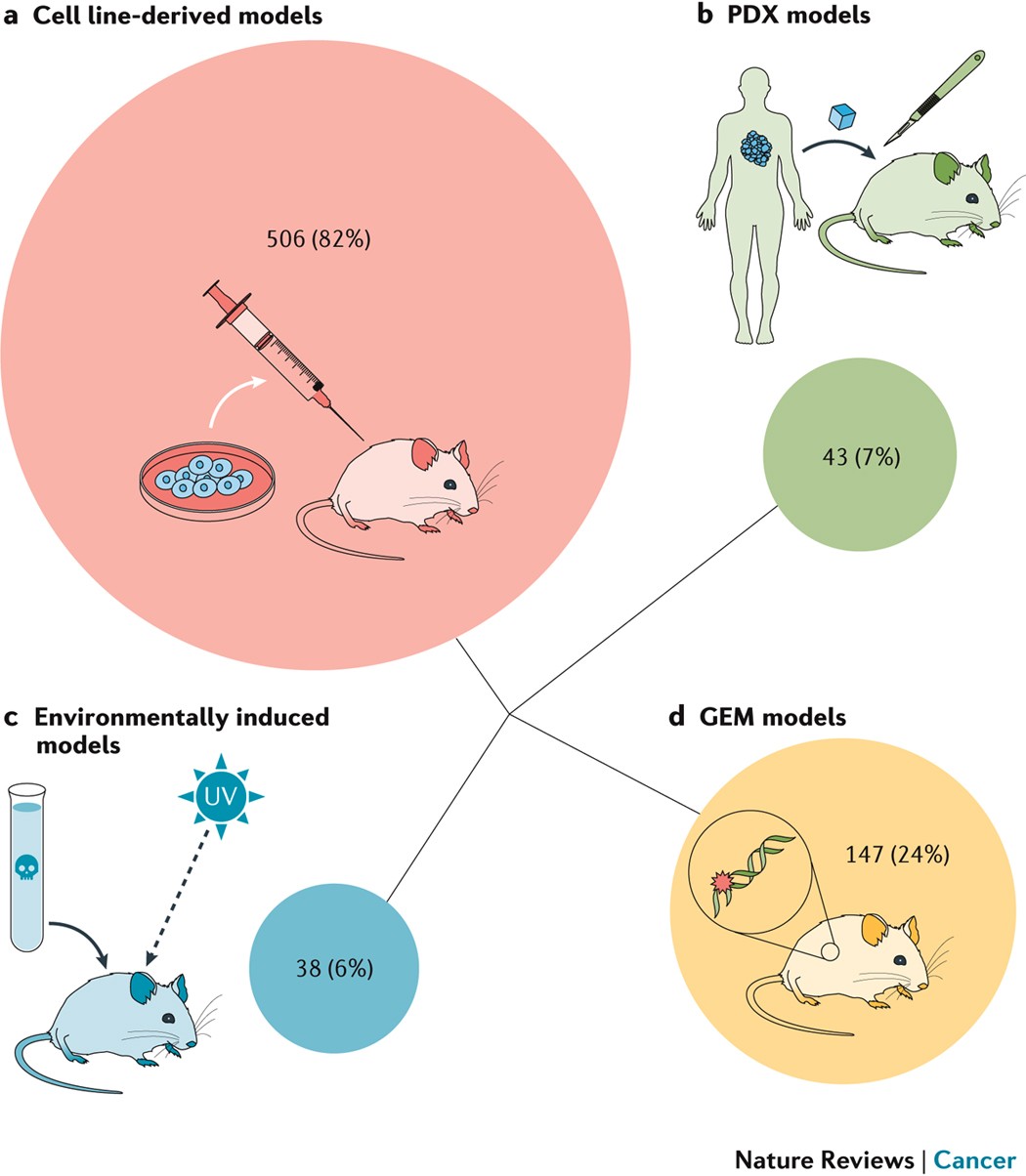 Preclinical mouse solid tumour models: status quo, challenges and perspectives | Nature Reviews Cancer Preclinical mouse solid tumour models: status quo, challenges and perspectives | Nature Reviews Cancer