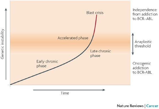 Mountfall & Rogue Syndrome