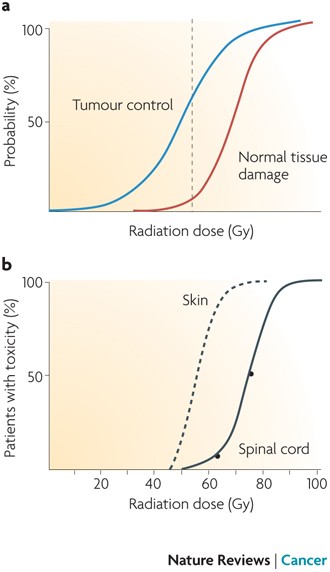 Normal tissue reactions to radiotherapy: towards tailoring