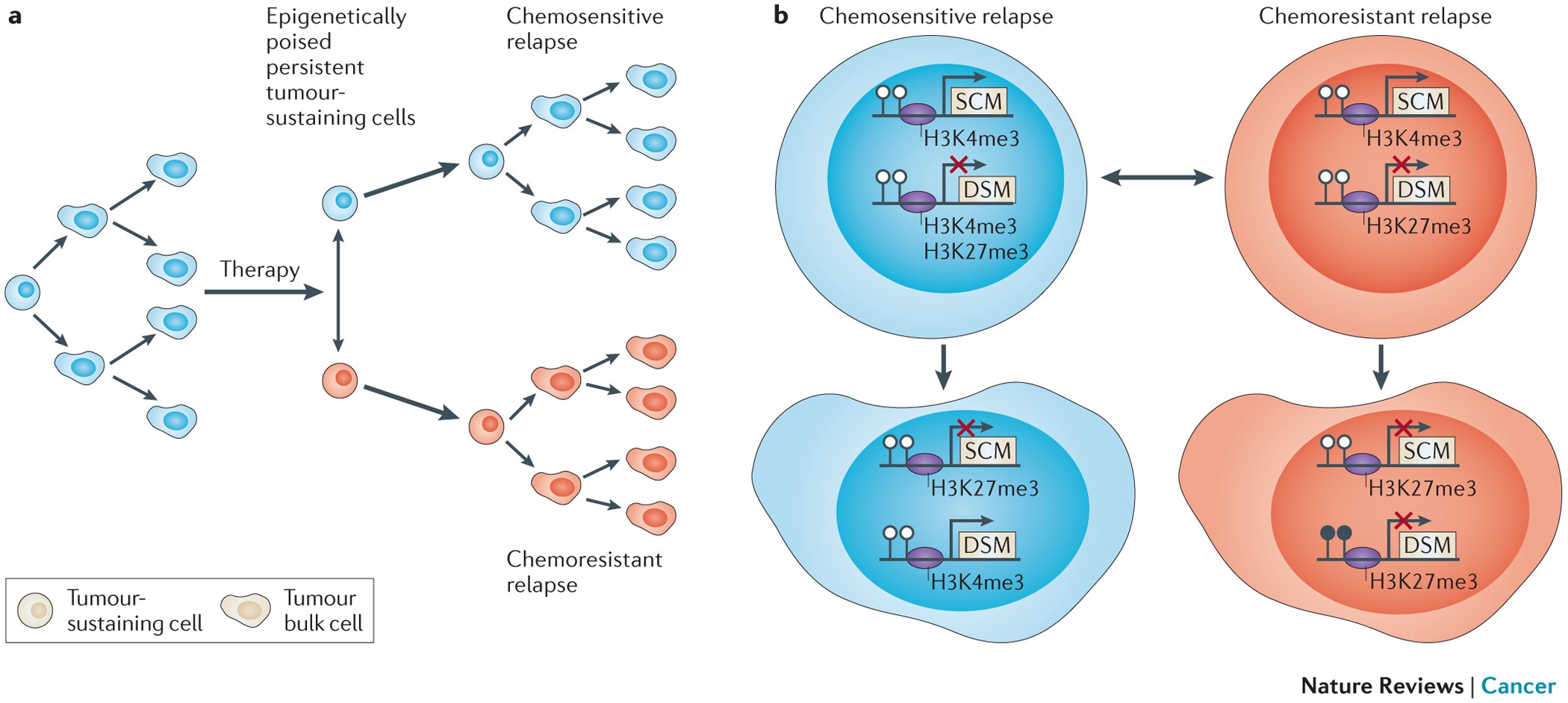 glutathione detection review Recent progress in electrochemical detection of gluthathoine: A review