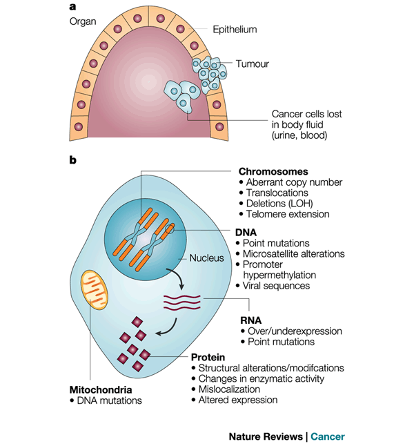 Emerging molecular markers of cancer | Nature Reviews Cancer