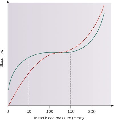 The Relationship Between Blood Pressure And Cognitive Function Nature Reviews Cardiology The Relationship Between Blood Pressure And Cognitive Function Nature Reviews Cardiology