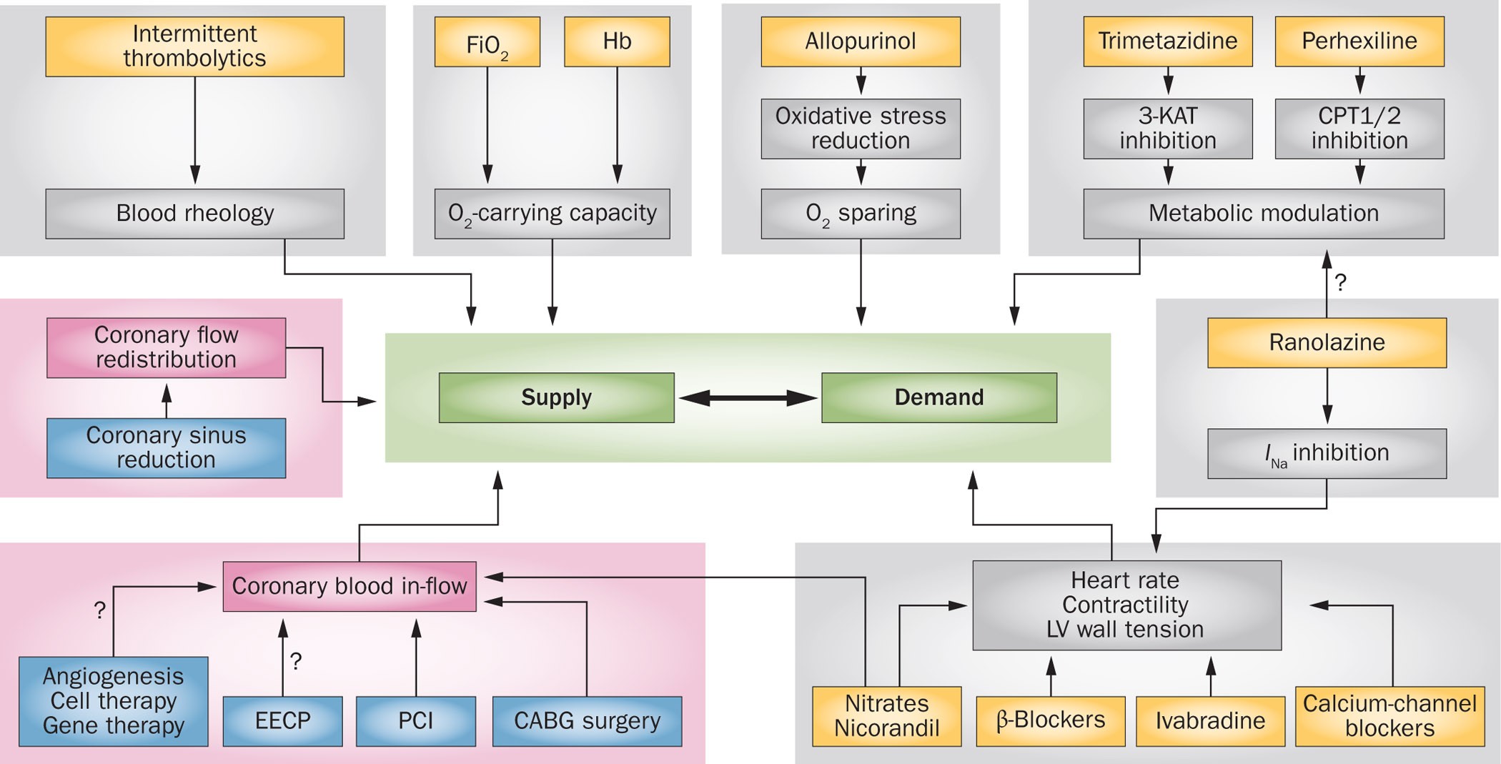 Antianginal Agents and Hypotensive Agents - ppt download