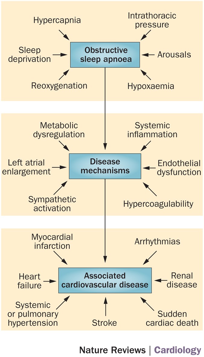 Sleep Apnoea, Atrial Fibrillation, And Heart Failure—Quo Vadis? | Nature  Reviews Cardiology