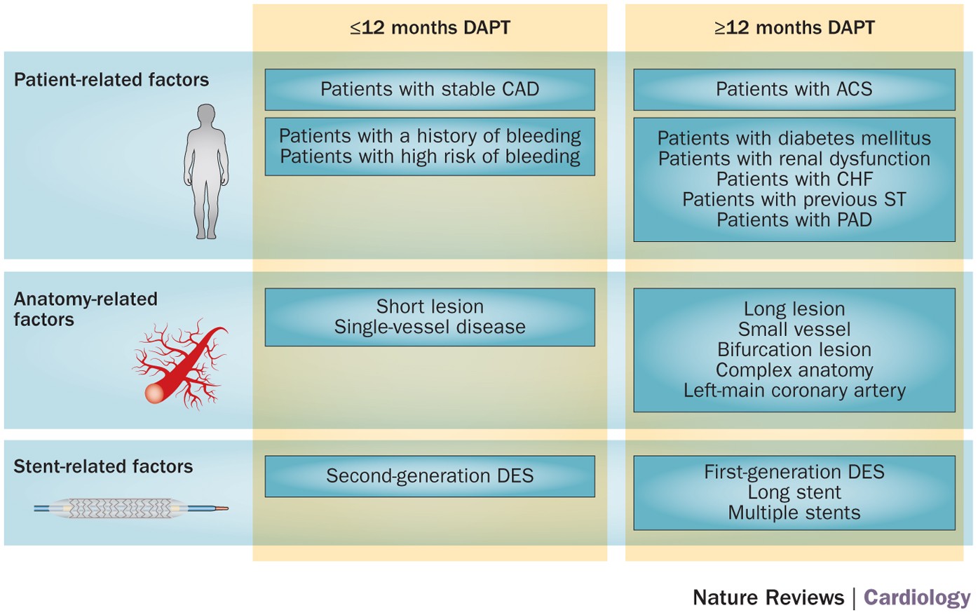 Defining The Optimal Duration Of Dapt After Pci With Des Nature Reviews Cardiology