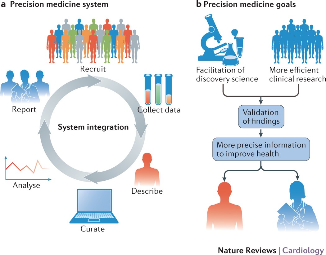 Precision medicine in cardiology | Nature Reviews Cardiology