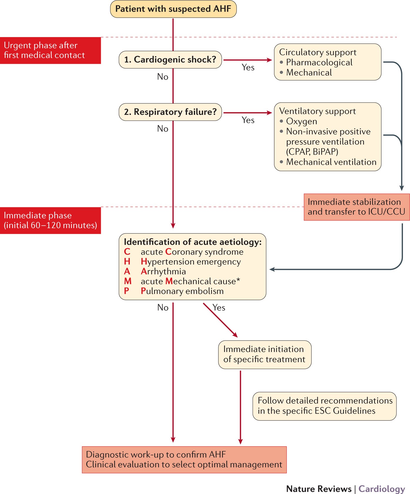 ACC/AHA Guidelines for the Evaluation and Management of Chronic