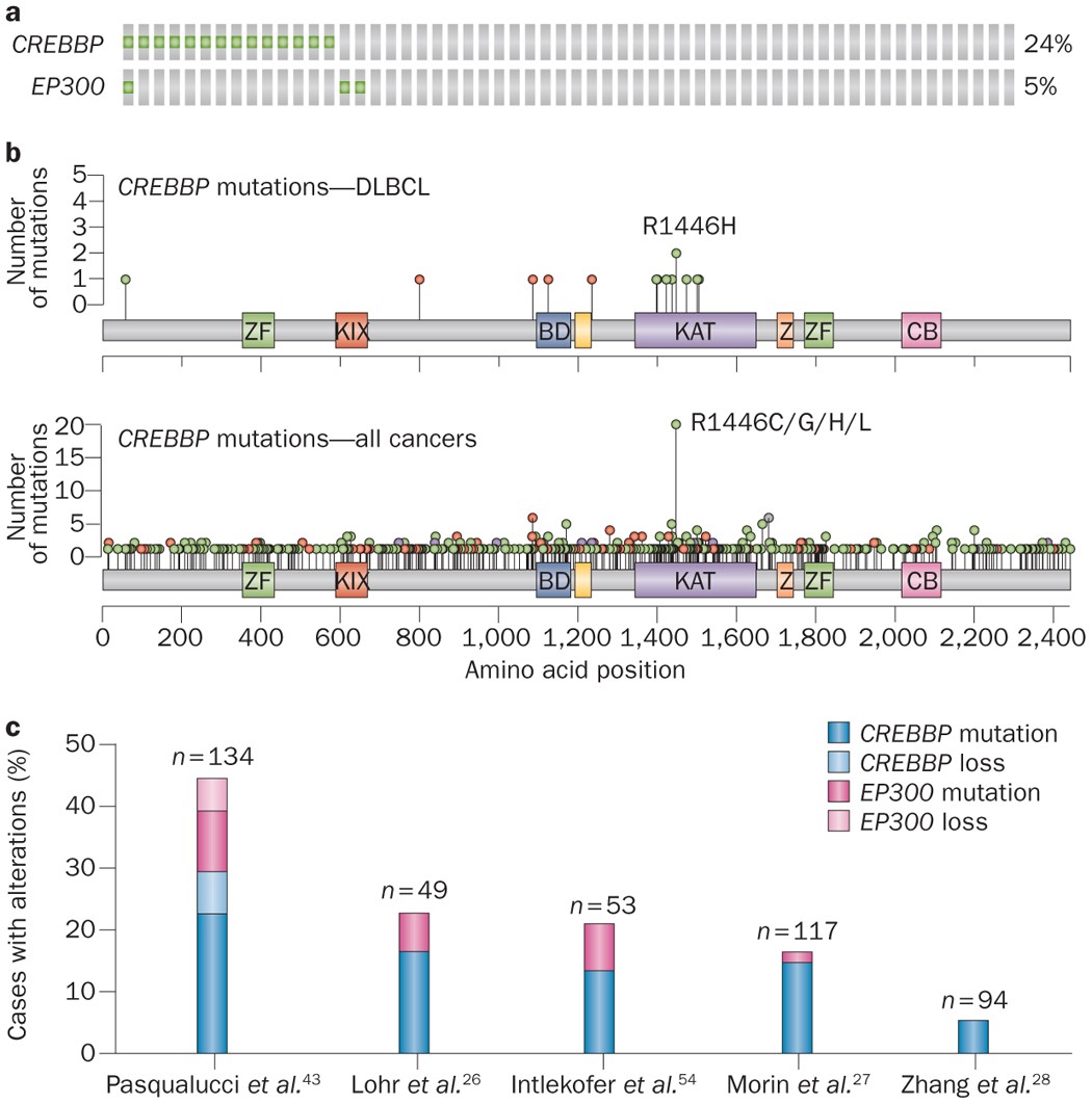 (PDF) Identification of de novo EP300 and PLAU variants in a