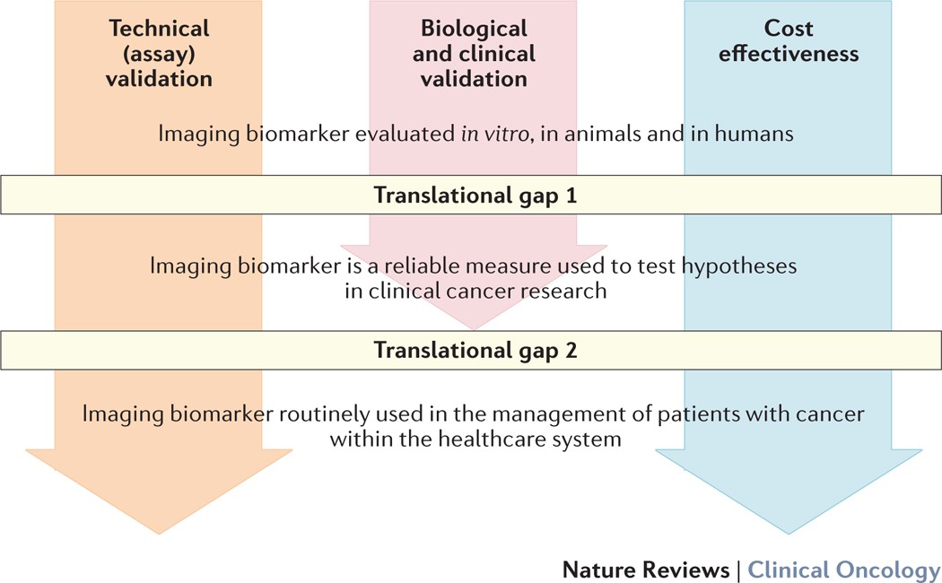 Imaging biomarker roadmap for cancer studies | Nature Reviews Clinical  Oncology