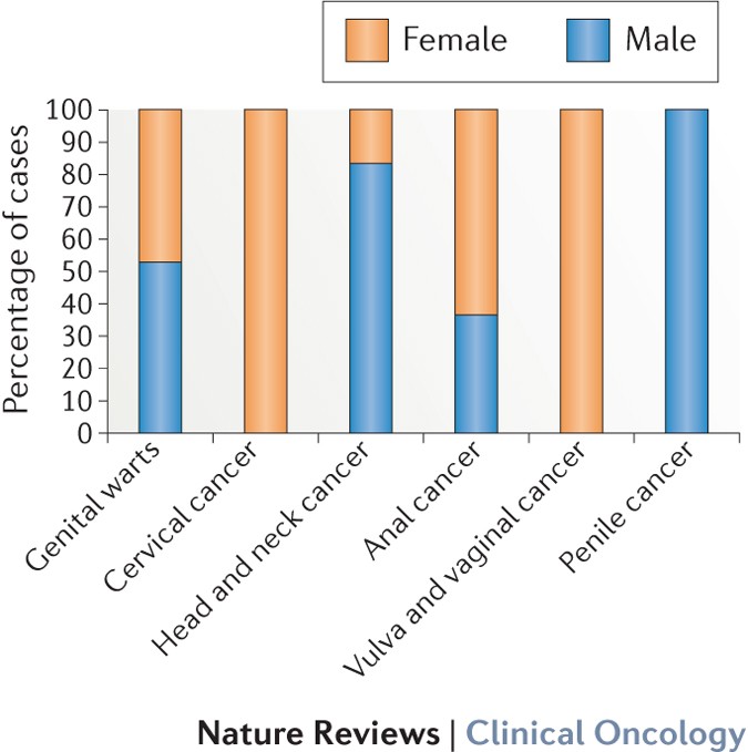 human papillomavirus male vaccine)