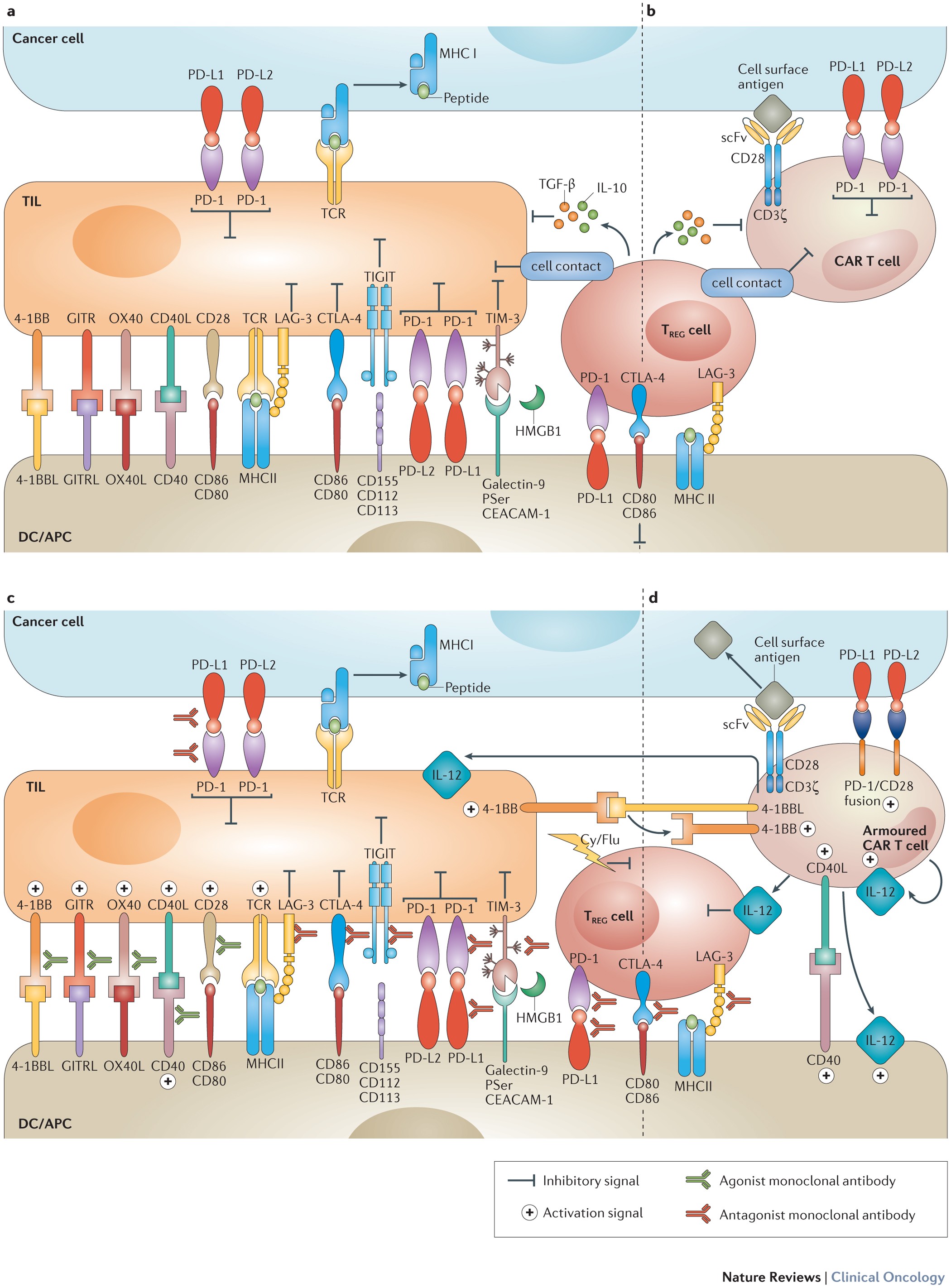 The future of cancer treatment: immunomodulation, CARs and