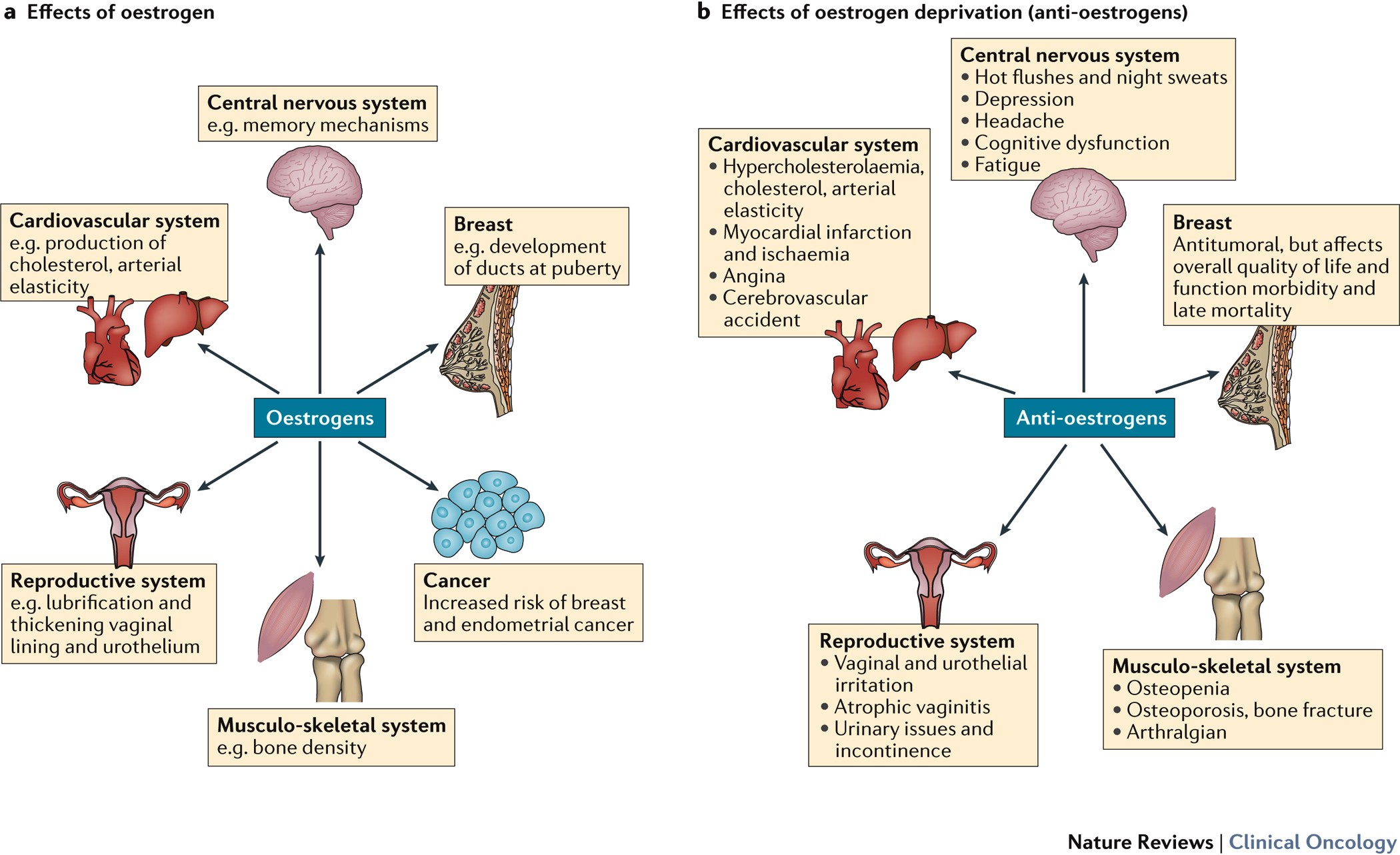 Exogenous reproductive hormone use in breast cancer survivors and previvors