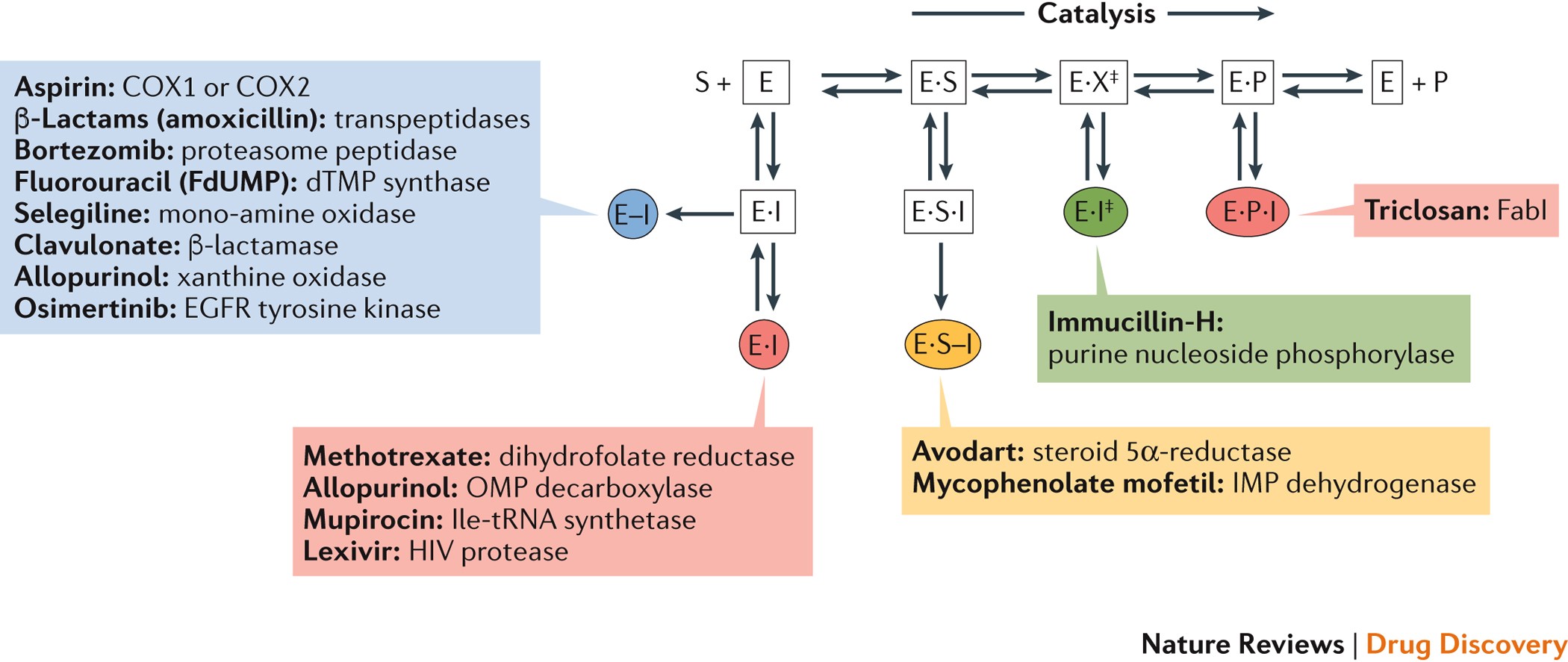 Mechanistic Enzymology In Drug Discovery A Fresh Perspective Nature Reviews Drug Discovery