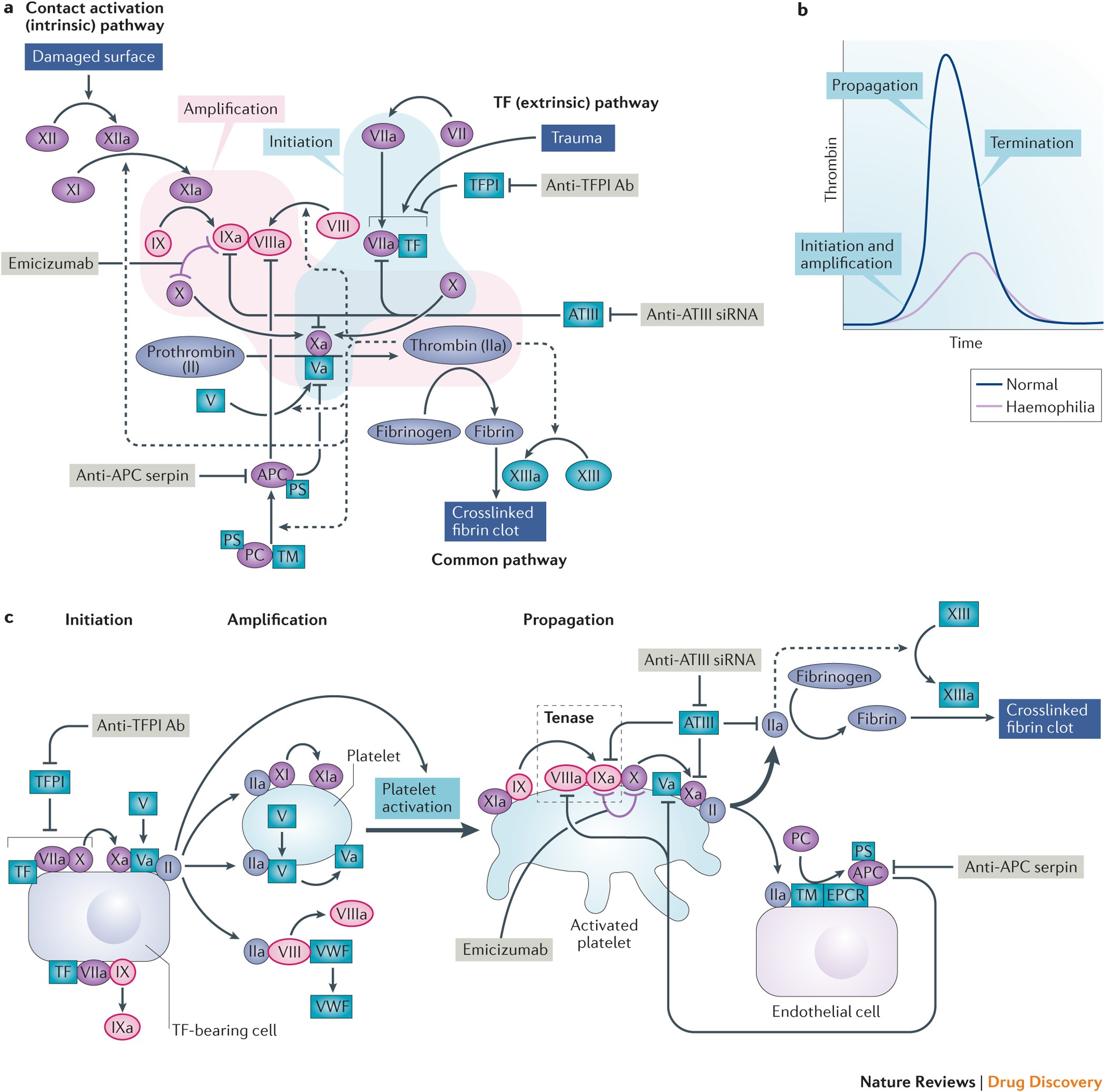 Factor VIII inhibitors in hemophilia A treated with emicizumab