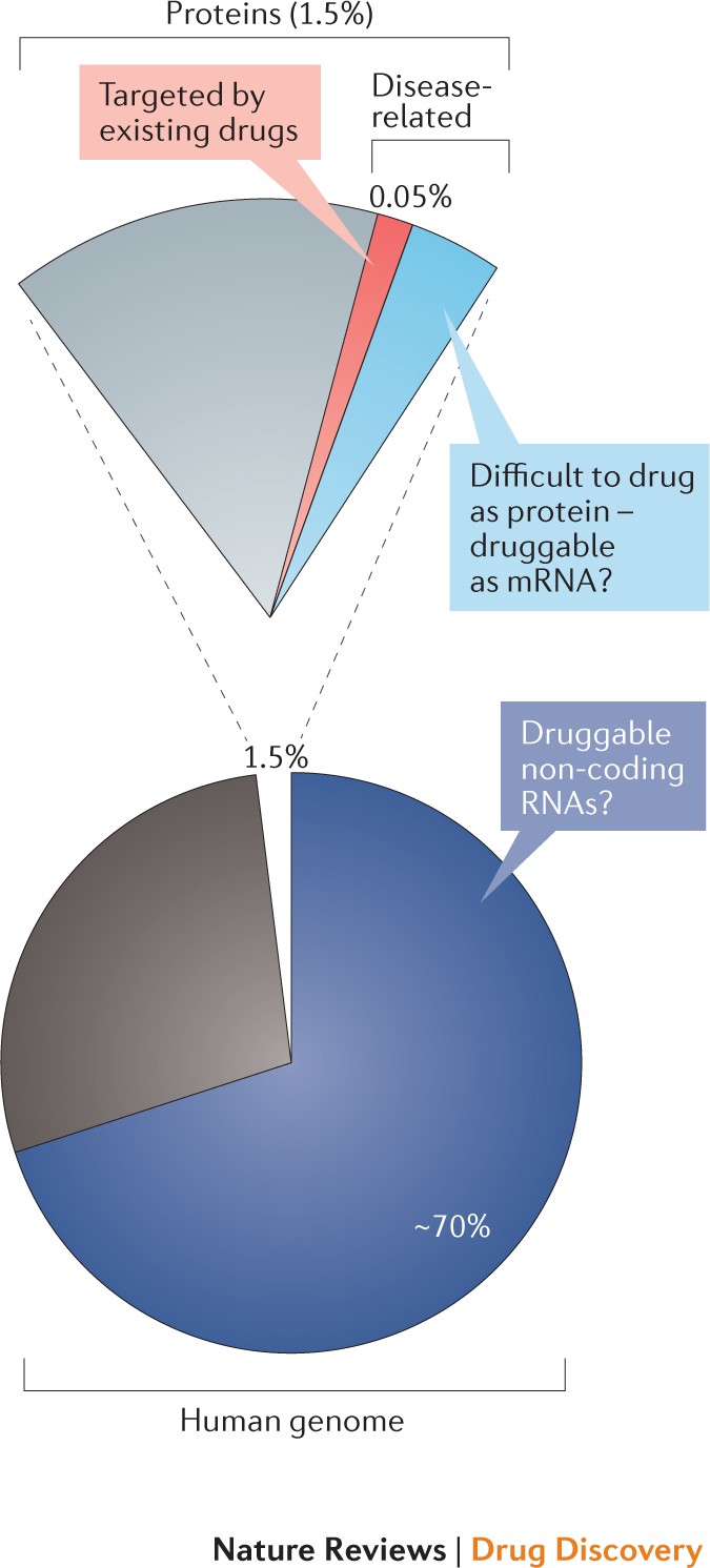 Principles For Targeting Rna With Drug Like Small Molecules Nature Reviews Drug Discovery