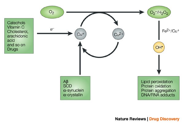 glutathione-s-transferase cyano acrylamide The role of glutathione-S-transferase in anti-cancer drug resistance