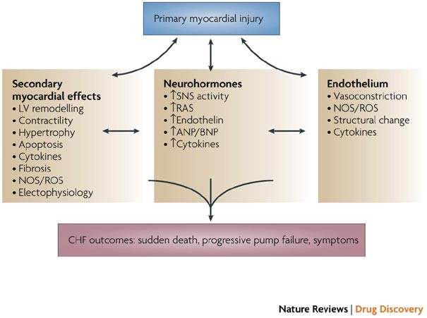 Progressive myocardial injury/left ventricular dysfunction and