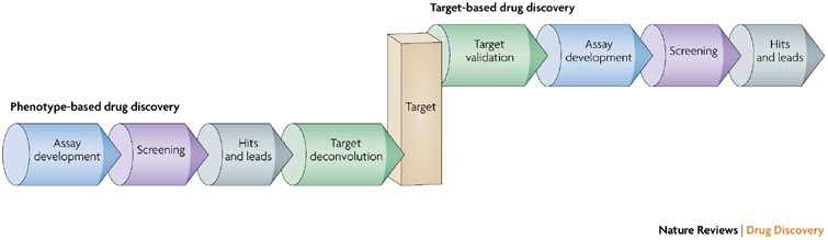 Target deconvolution strategies in drug discovery | Nature Reviews Drug  Discovery