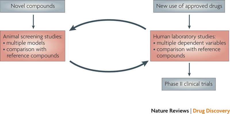 Development Of Pharmacotherapies For Drug Addiction A Rosetta Stone Approach Nature Reviews Drug Discovery