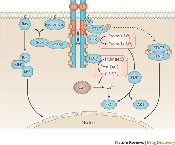 targeting non malignant disorders with tyrosine kinase tyrosine kinase inhibitors