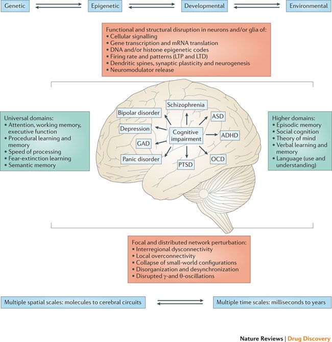 Full article: Psychomotor, cognitive, and socio-emotional developmental  profiles of children with Rubinstein-Taybi Syndrome and a severe  intellectual disability